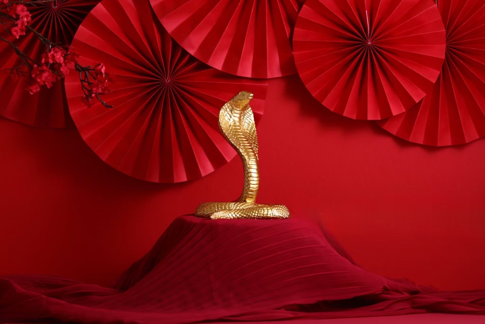 Year of the Snake 2025 : Discovering the Significance of Bead Bracelets