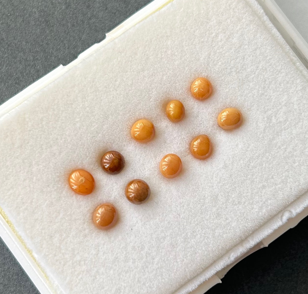 Enchanting Conch loose Pearl Treasures