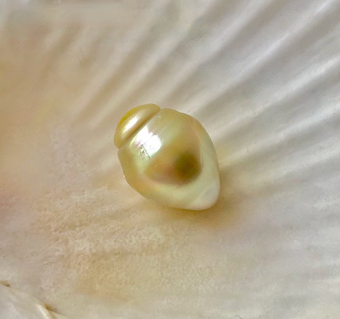 Golden South Sea Loose Pearl Gem