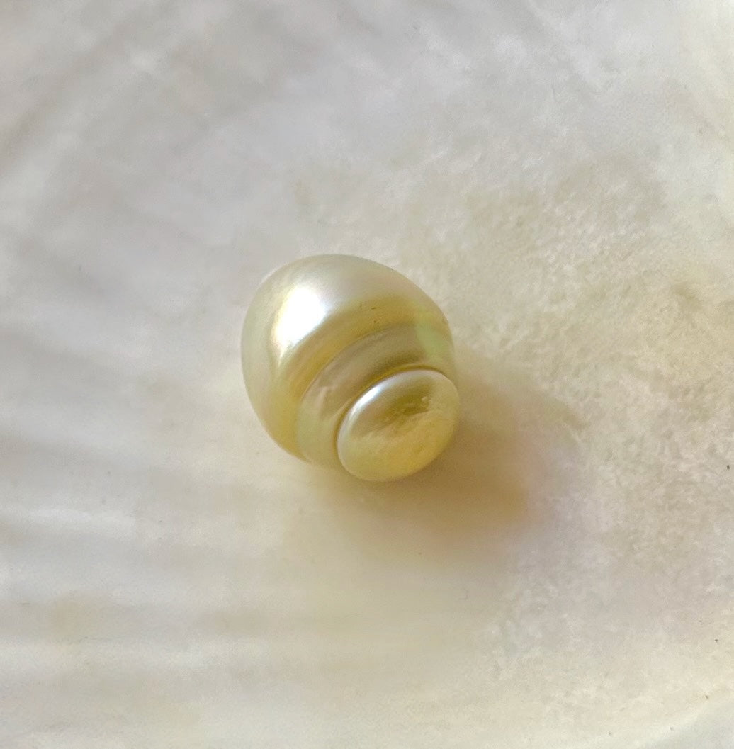Golden South Sea Loose Pearl Gem