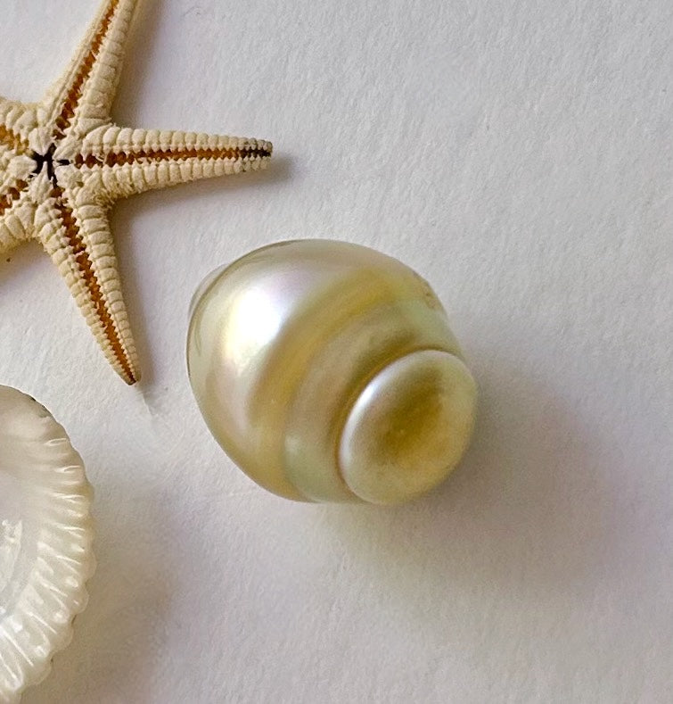 Golden South Sea Loose Pearl Gem