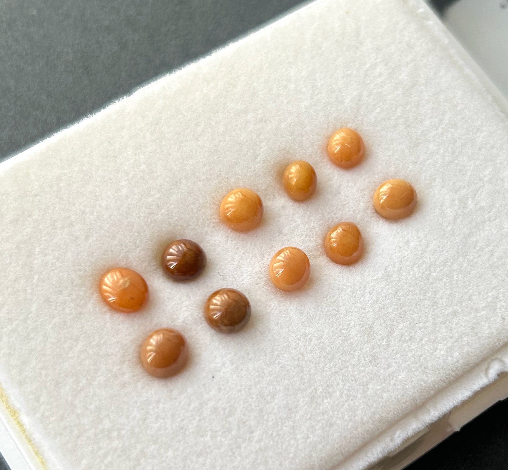Enchanting Conch loose Pearl Treasures